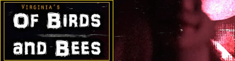 鸟与蜜蜂 Of Birds and Bees v1.2 完整版 AI汉化版