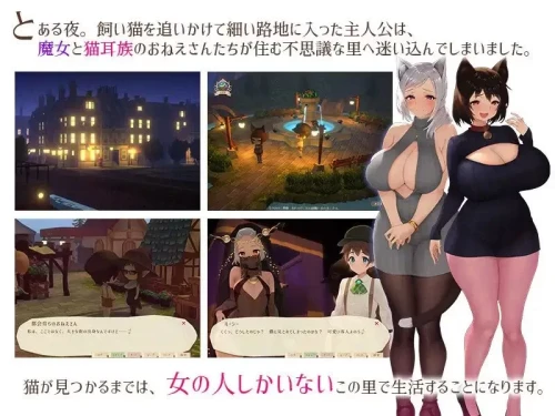 图片[5]-[PCRPG官中动态] 魔女与猫的桃源乡 魔女と猫の隠れ里 v1.01 存档 [1+1G][百度盘]-嘤嘤怪之家