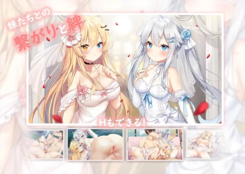图片[2]-[PC/全CG/神作强烈推荐/后宫/动态/CV]妹妹连结:想要传达的爱恋 [1+5.76G][百度盘]-嘤嘤怪之家